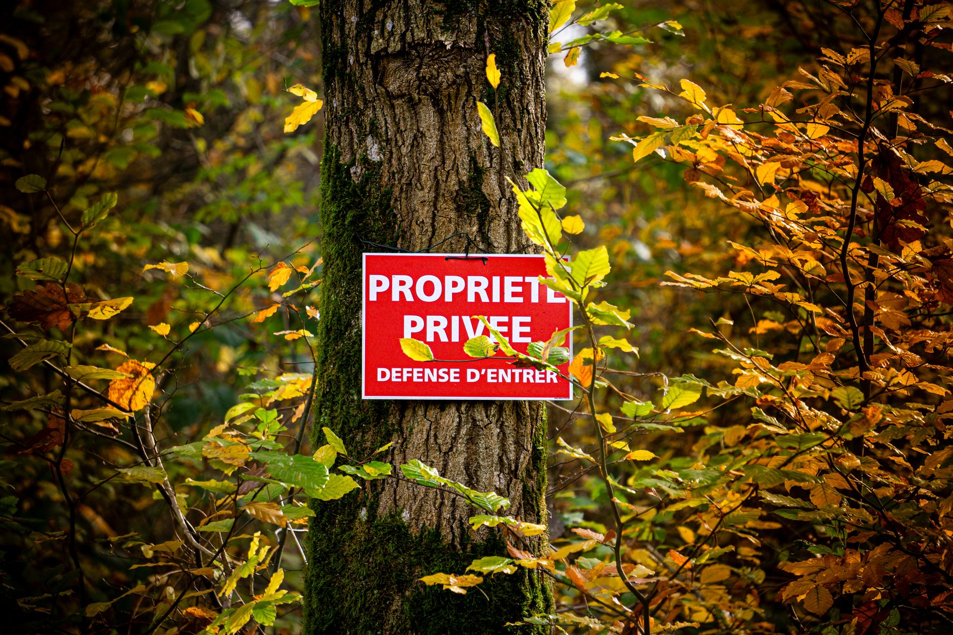 Détective privé à Lorient